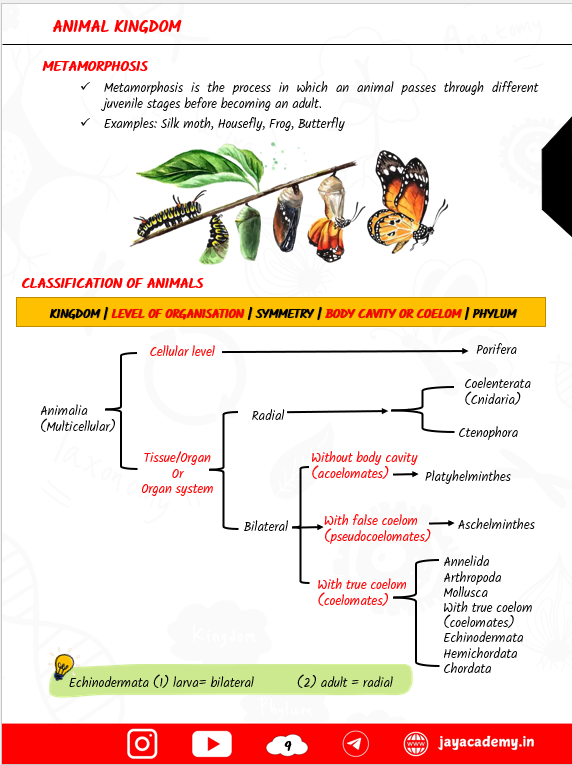 Zoology Biscuit Nursing Entrance Exam Book