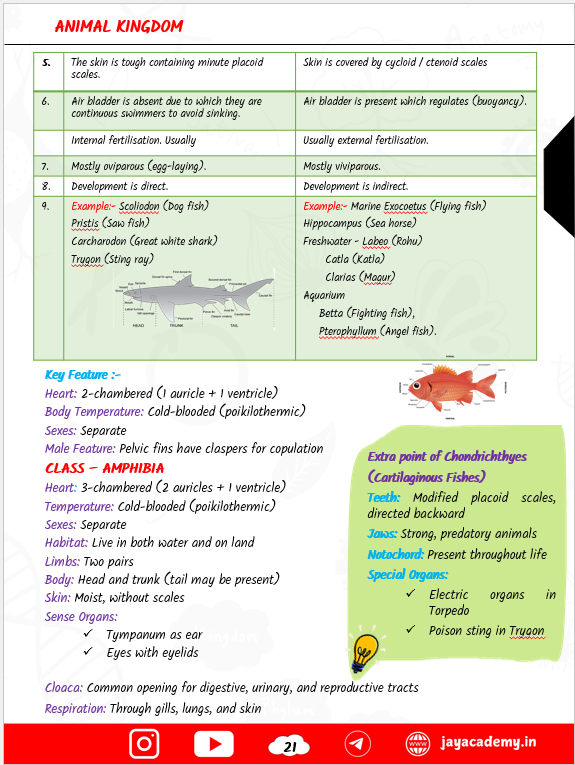 Zoology Biscuit Nursing Entrance Exam Book