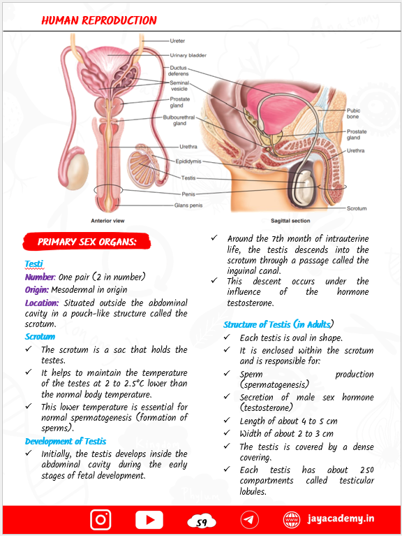 Zoology Biscuit Nursing Entrance Exam Book