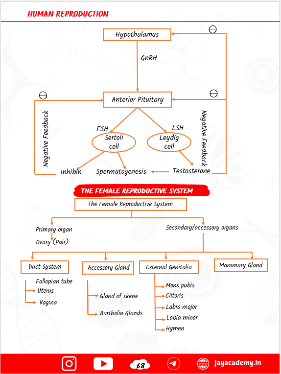 Zoology Biscuit Nursing Entrance Exam Book