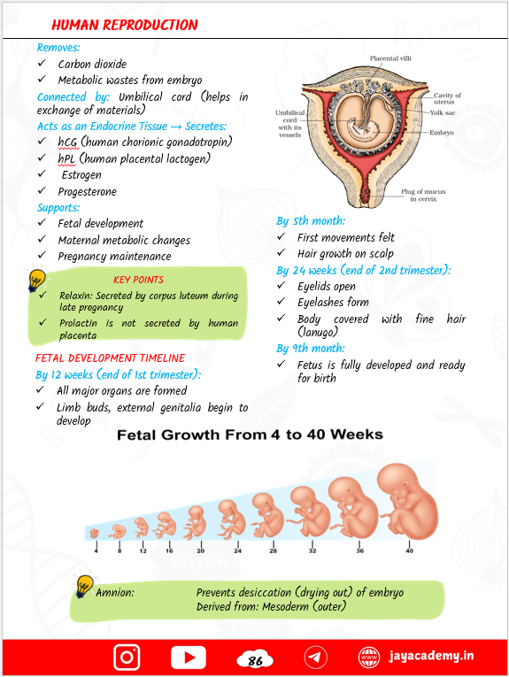 Zoology Biscuit Nursing Entrance Exam Book