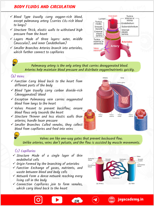 Zoology Biscuit Nursing Entrance Exam Book