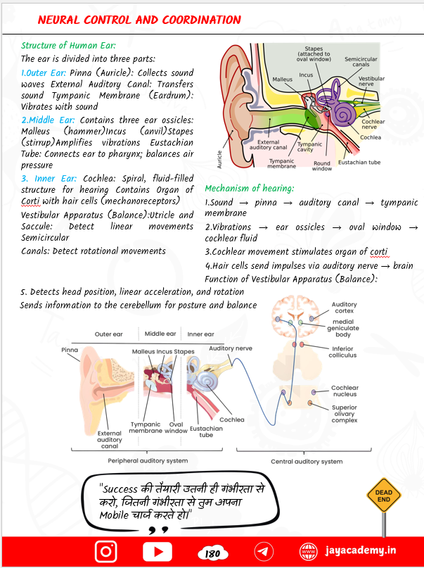 Zoology Biscuit Nursing Entrance Exam Book
